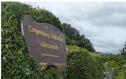 PlotlinesThe newsletter of Craigentinny Telferton AllotmentsNo 3: July 2026